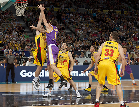 Melbourne Tigers